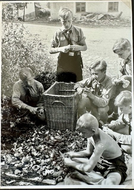 Hitler Youth Photo #18096 