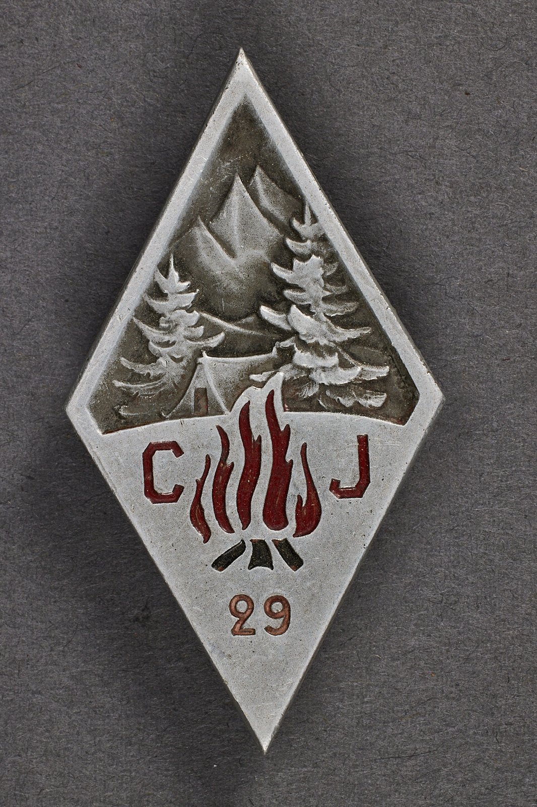 French Youth Badge #21490 