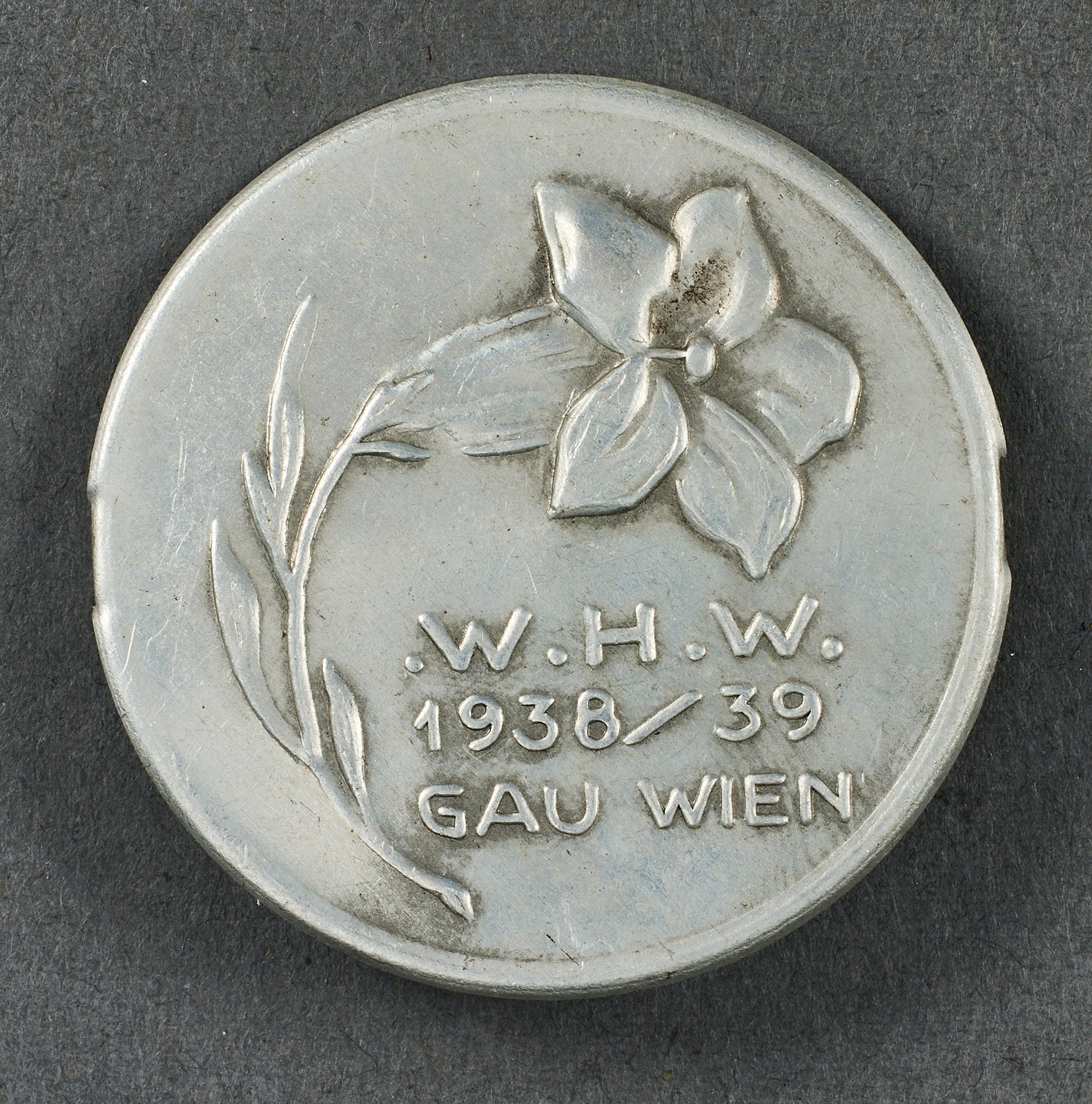 Wien Tinnie #20947 