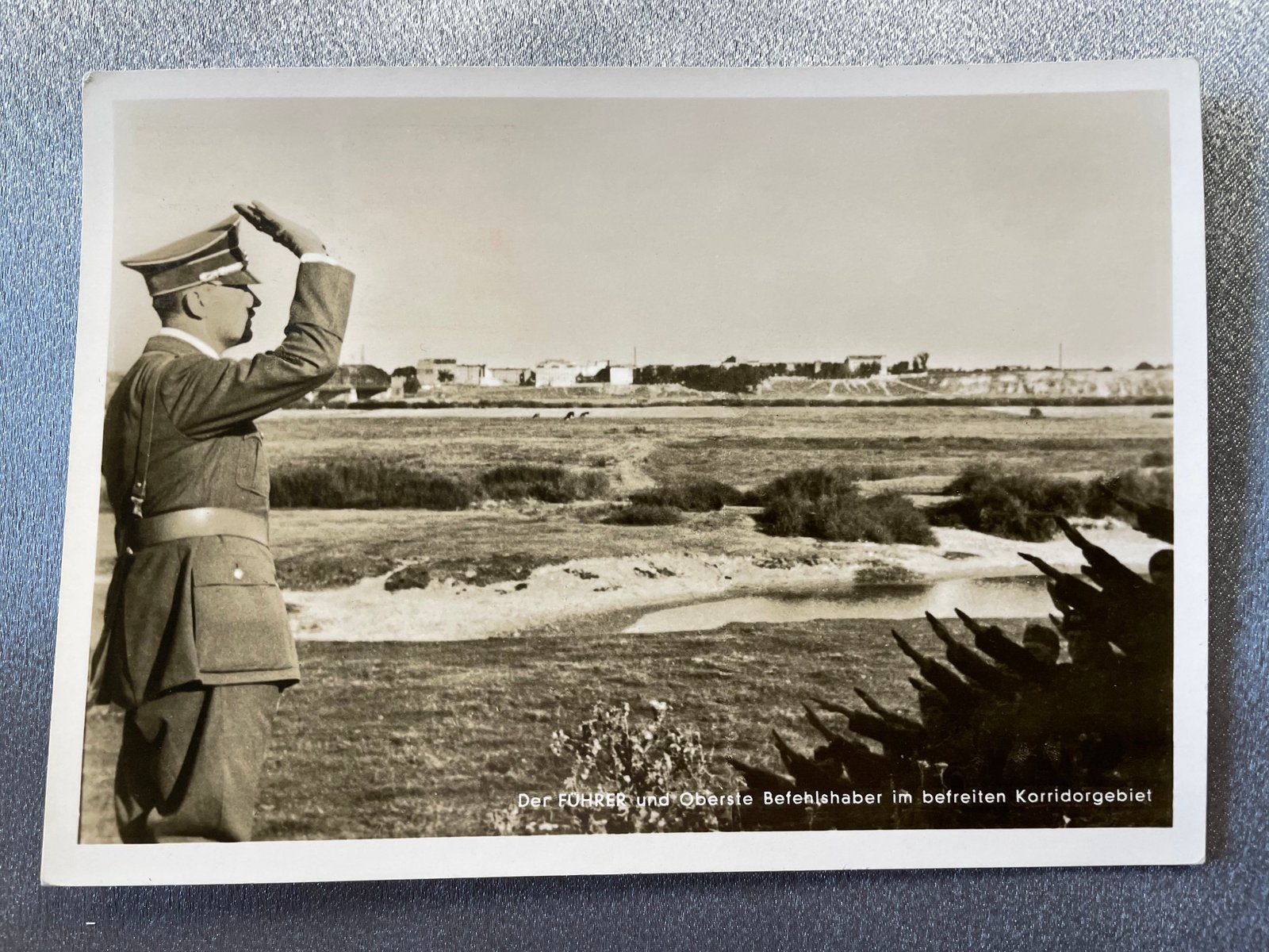 Der Führer in the Corridor Postcard #15071 