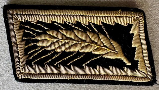 Reichsarbeitsführer-Generalsarbeitsführer Collar Tab #18360 