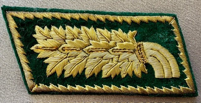 Oberfinanzpräsident Collar Tab #18465 