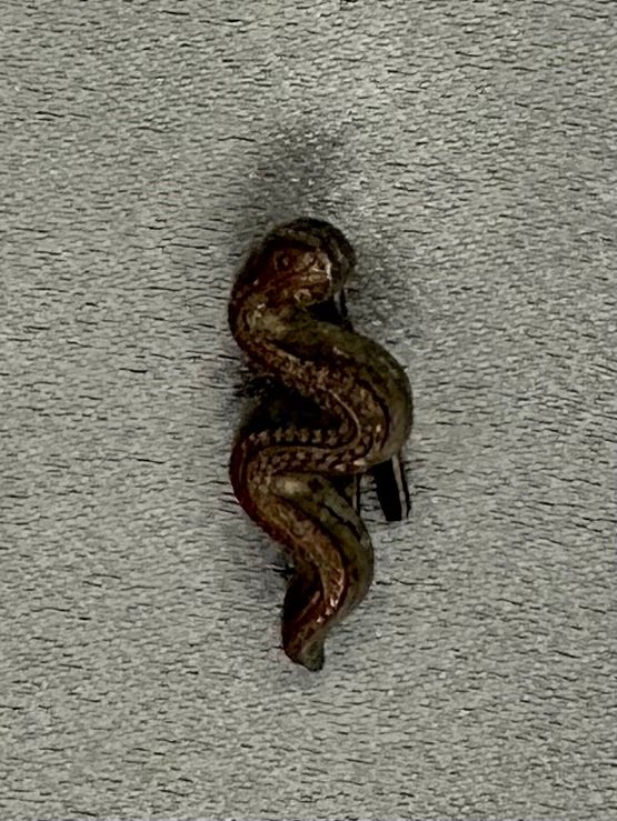 Veterinarian NCO/EM Shoulder Board Cypher #16730 