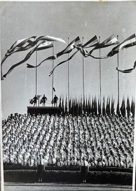 Hitler Youth Photo #18559 