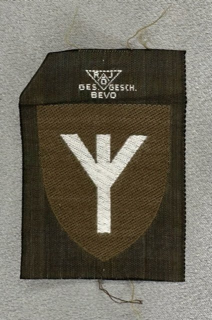 RAD Medical Doctor Sleeve Insignia #16558 