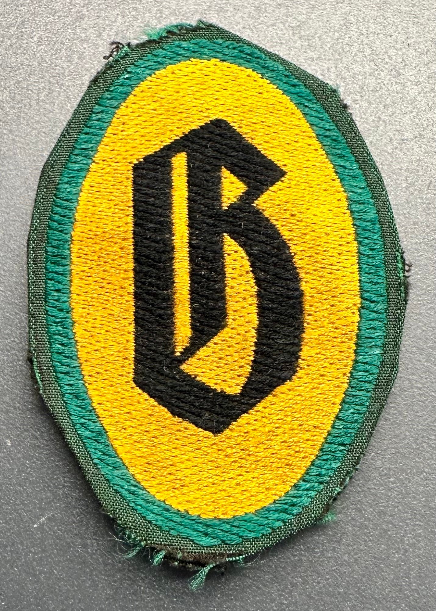 SDH Decontamination Personnel Insignia #17218 