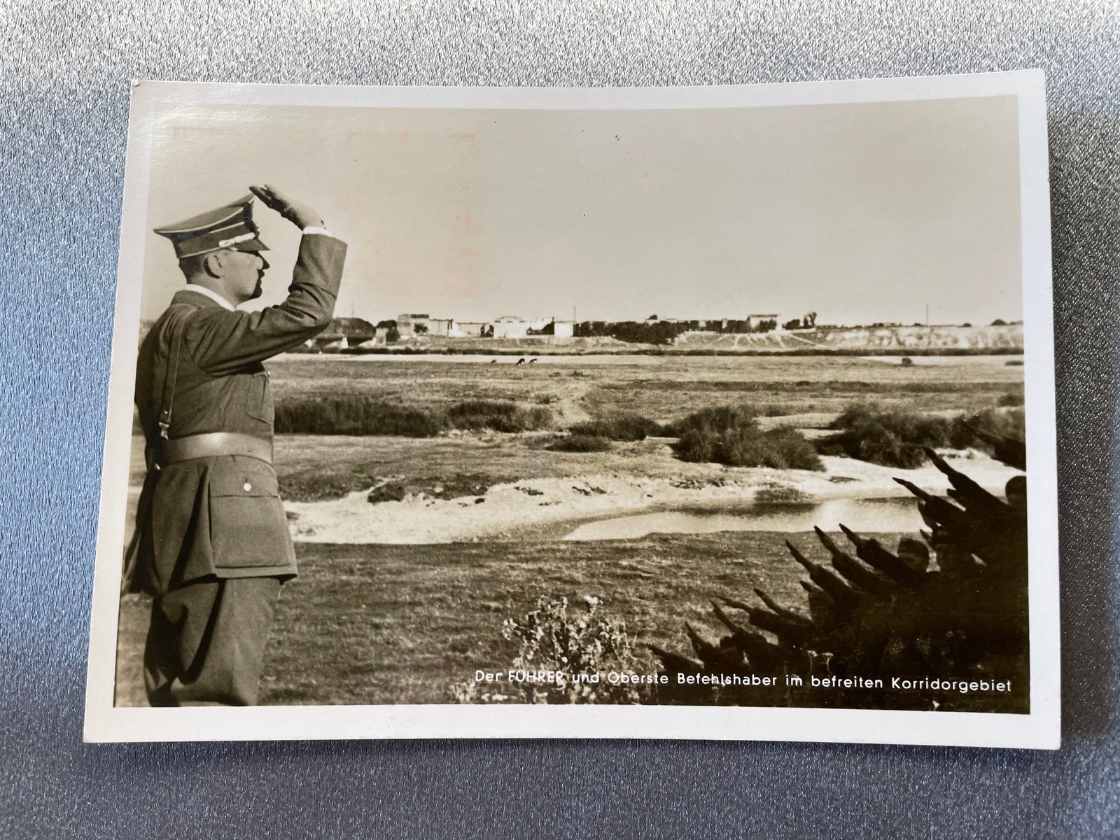 Der Führer in the Corridor Postcard #15118 