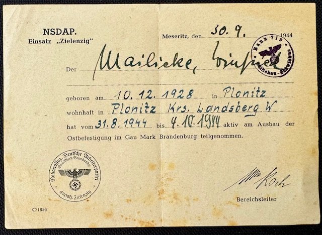 NSDAP Einstaz Zielenzig #17793 