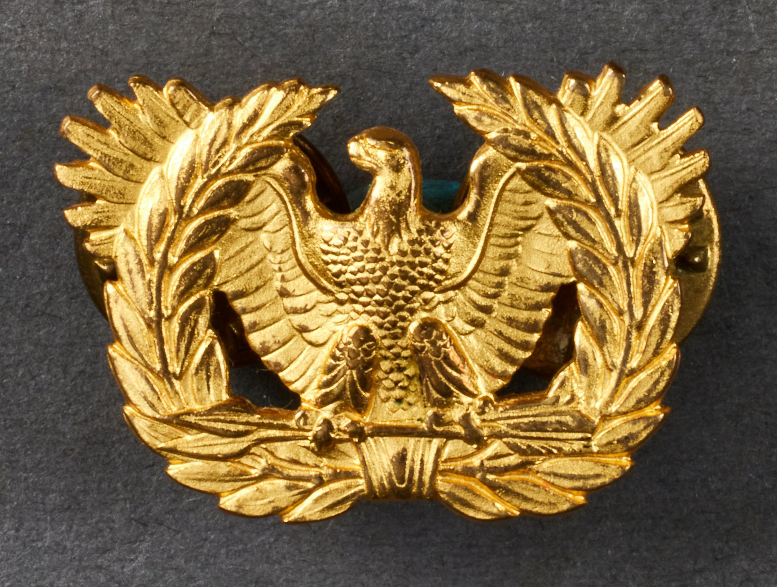 US Army Warrant Officer\'s Eagle #20992 