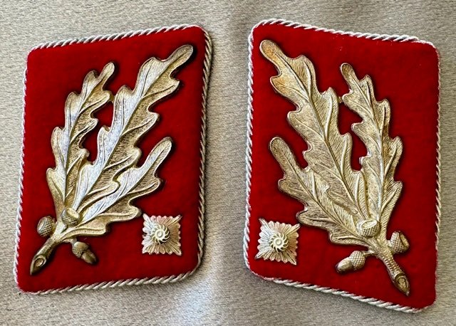 SA Obergruppenführer Collar Tabs #17892 