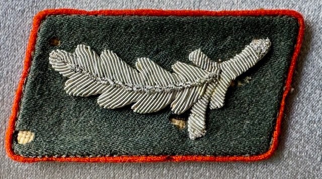 Postschutz Bezirksführer Collar Tab #18396 