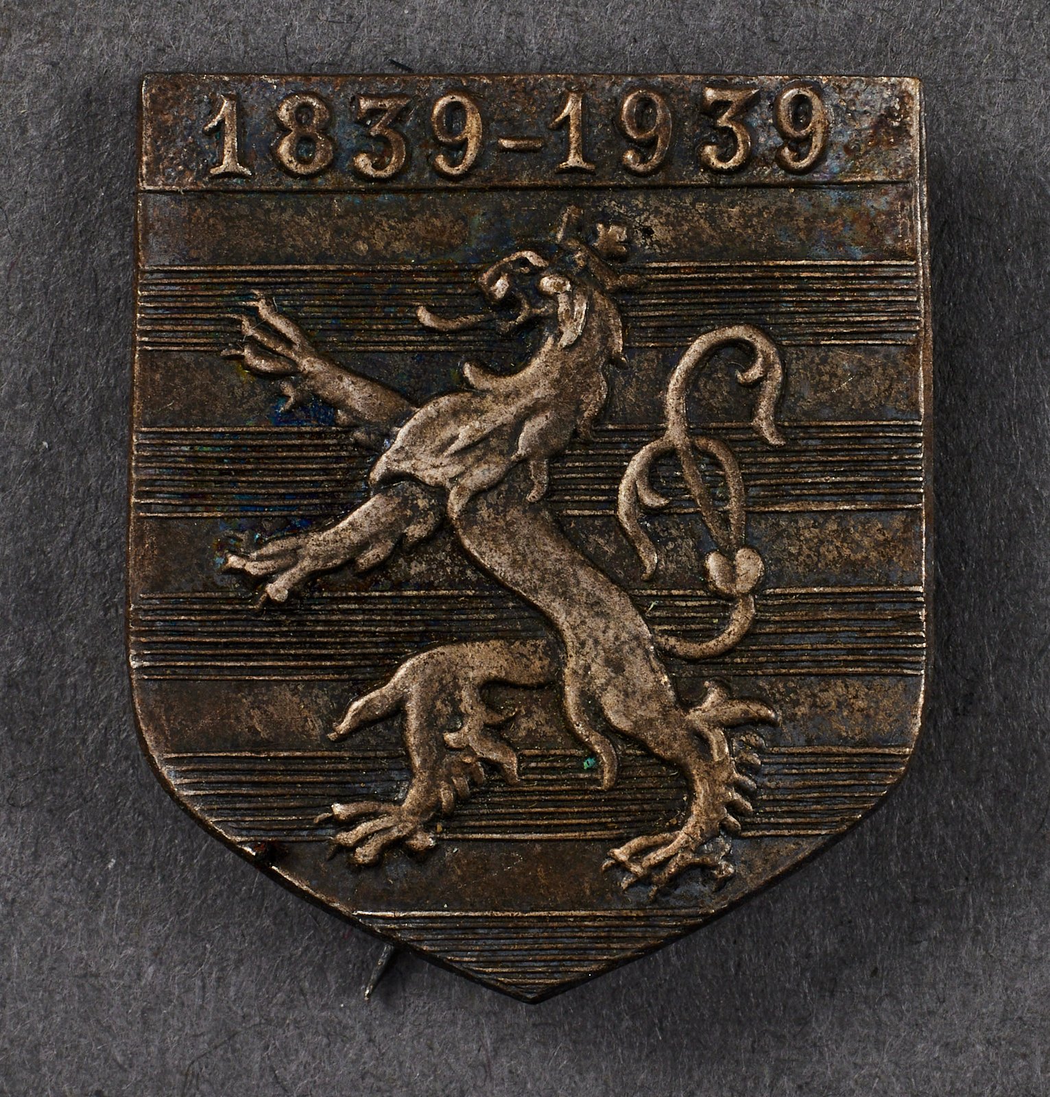 Czech Tinnie #21479 