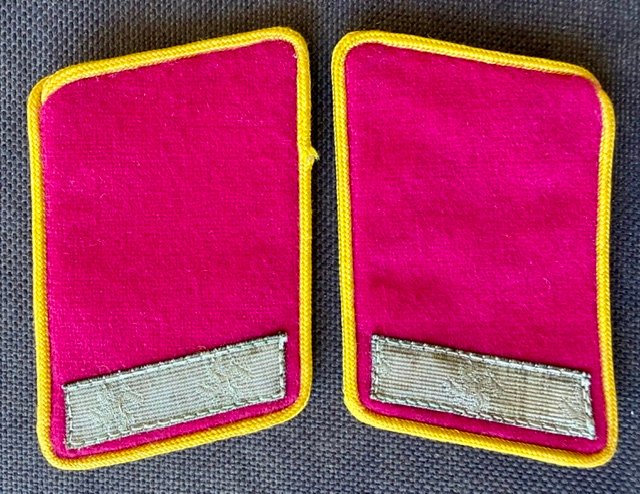Reichsleitung Mitarbeiter Collar Tabs #20738 