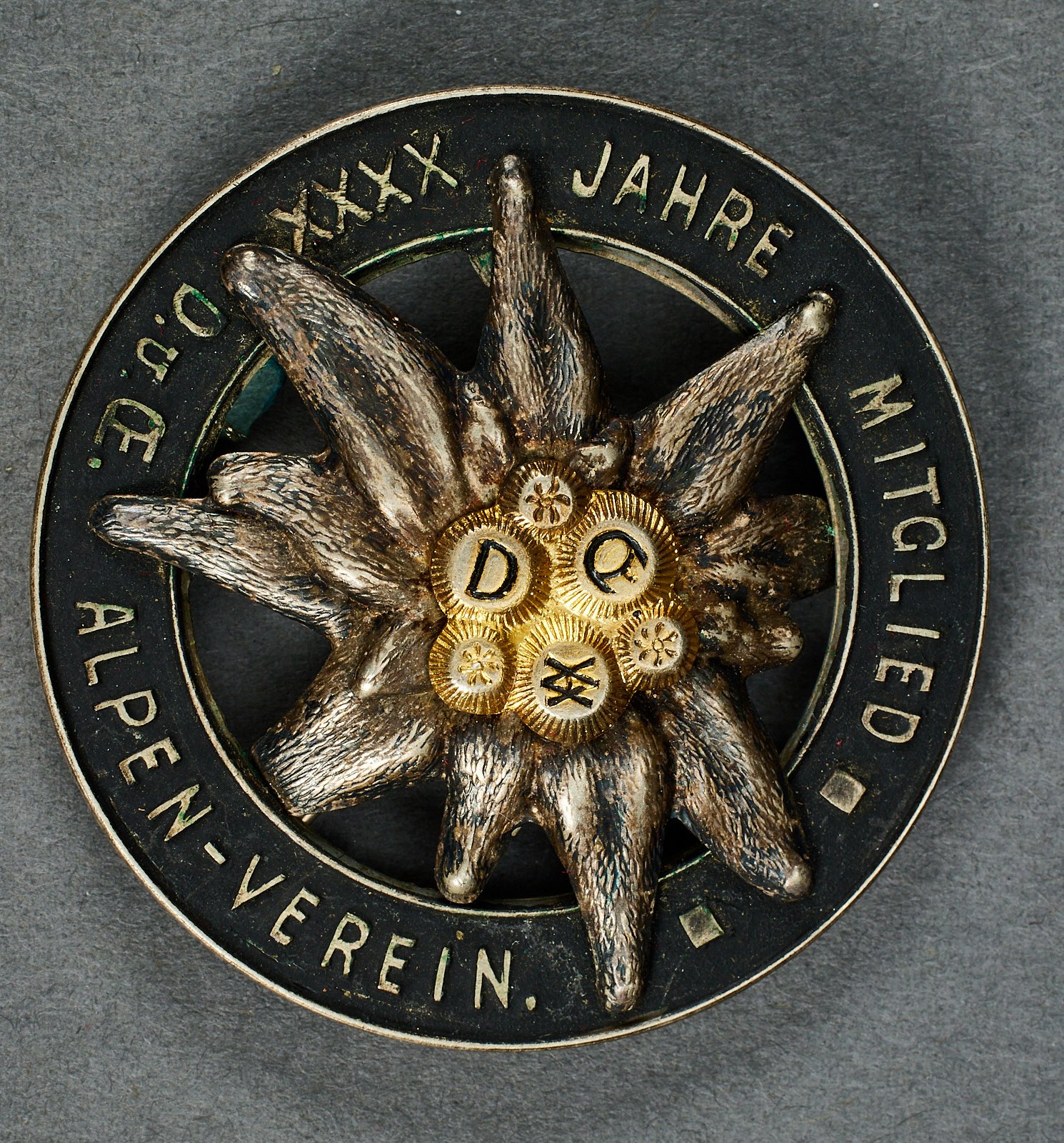 Alpine Membership Badge #21661 