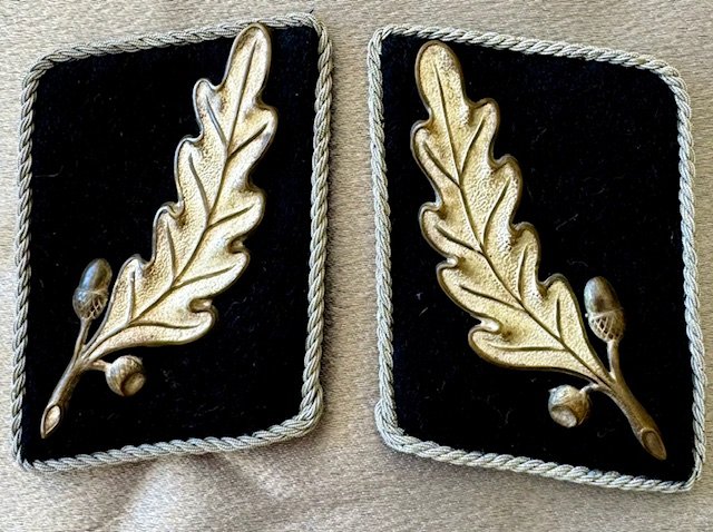 SA Standartenführer Collar Tabs #17890 