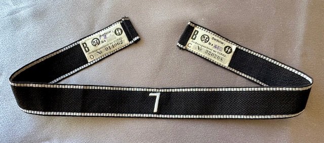 SS Officers Cuff Title for Plauen Foot Regiment #19066 